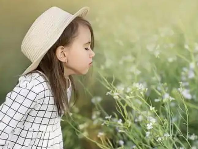 冬闻花香幼儿活动